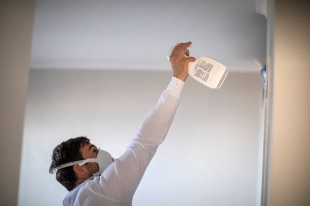 Best Localized Mold Remediation (e.g., coastal areas, humid climates) in Hugo, MN