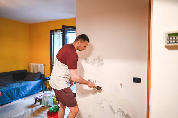 Trusted Hugo, MN Mold Remediation Experts